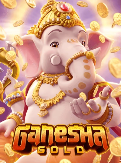 T20 cricket betting cover